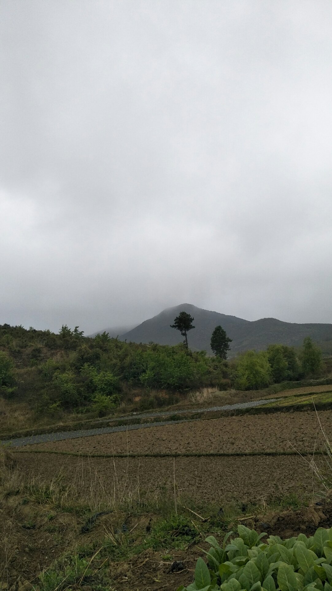 北庙乡天气预报更新通知