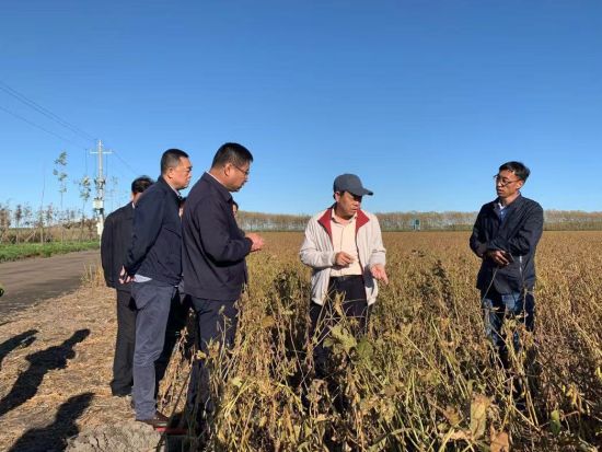 洪河农场展现现代化农业新风貌与发展成果，最新新闻报道