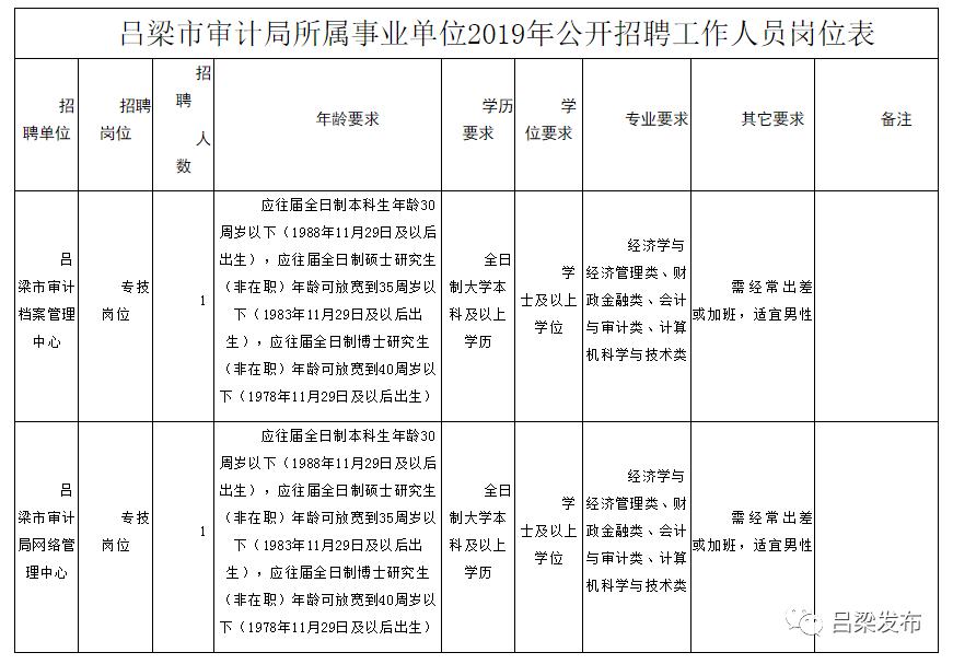 岭东区审计局招聘信息全面解析