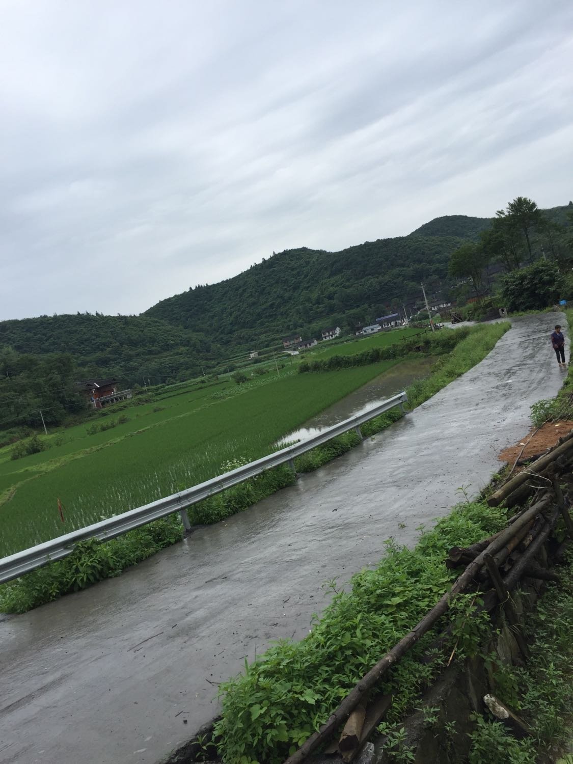 黄礤镇天气预报更新通知