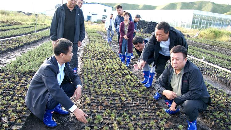 阿尔山市发展和改革局最新发展规划深度解析