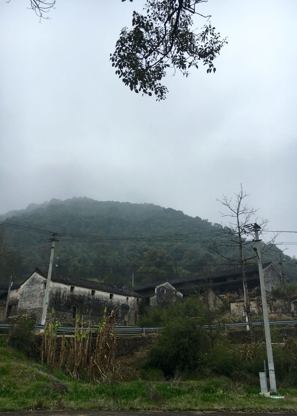 窈川乡天气预报更新